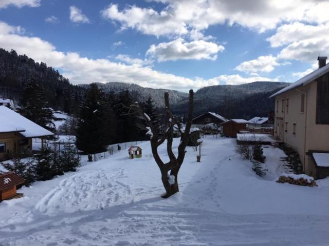 Le Chalet De La Deviniere, Bain Nordique Exterieur Chauffe Xonrupt-Longemer Luaran gambar